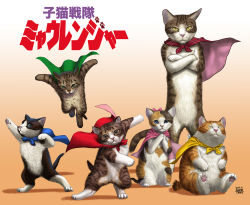 Rule 34 | cape, cat, check translation, commentary request, crossed arms, kitten, looking at viewer, matataku, no humans, original, parody, sitting, standing, super sentai, surprised cat (matataku), translated, translation request