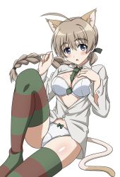 Rule 34 | 1girl, ahoge, animal ears, blue eyes, bow, bow panties, bra, braid, breasts, brown hair, cat ears, cat girl, cat tail, cowboy shot, crotch seam, dress shirt, grey shirt, highres, kanata mako, long hair, lynette bishop, medium breasts, open clothes, panties, shirt, simple background, single braid, sitting, solo, strike witches, striped clothes, striped thighhighs, tail, thighhighs, underwear, white background, white bra, white panties, world witches series