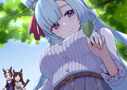 Rule 34 | 3girls, bare shoulders, blue hair, blurry, blurry background, blush, bow, commentary request, detached sleeves, ear bow, ear ornament, floral print, hair between eyes, highres, light blue hair, long hair, long sleeves, looking at viewer, mejiro ardan (umamusume), mejiro dober (umamusume), mejiro ryan (umamusume), missile (55missile), multicolored hair, multiple girls, official alternate costume, open mouth, outdoors, purple eyes, short hair, smile, streaked hair, tail raised, umamusume, white hair