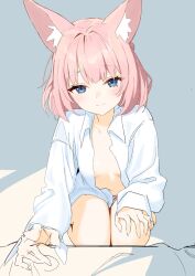 Rule 34 | 1girl, animal ear fluff, animal ears, blue archive, blue eyes, blush, closed mouth, collared shirt, fox ears, highres, long sleeves, looking at viewer, niko (blue archive), open clothes, open shirt, panties, pink hair, pink panties, shirt, short hair, sitting, sketch, smile, solo, syhan, underwear, white shirt