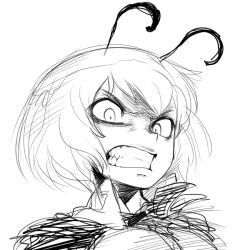 Rule 34 | 1girl, angry, antennae, bad id, bad pixiv id, clenched teeth, female focus, greyscale, monochrome, portrait, scowl, simple background, sketch, snarl, solo, spacezin, teeth, touhou, white background, wriggle nightbug