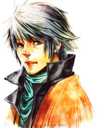 Rule 34 | 10s, 1boy, bad id, bad pixiv id, collar, final fantasy, final fantasy xiii, green eyes, hope estheim, looking at viewer, male focus, narayamanta, silver hair, simple background, solo, swept bangs, upper body, white background