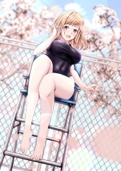 Rule 34 | 1girl, aga marino, bare legs, blue one-piece swimsuit, breasts, brown eyes, brown hair, chain-link fence, chair, cherry blossoms, competition swimsuit, covered navel, day, fence, highres, idolmaster, idolmaster shiny colors, large breasts, light brown hair, medium hair, one-piece swimsuit, open mouth, petals, pool, sakuragi mano, sitting, smile, solo, swimsuit, tree
