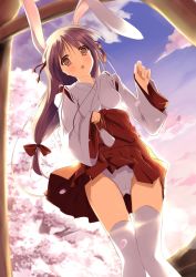 Rule 34 | 1girl, adapted uniform, animal ears, blush, bow, breasts, brown eyes, brown hair, rabbit ears, cherry blossoms, hair bow, hair ribbon, highres, japanese clothes, long hair, miko, mycstea, open mouth, original, panties, pantyshot, ribbon, sky, solo, thighhighs, underwear