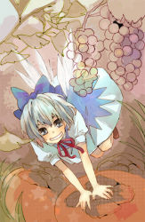 Rule 34 | 1girl, bad id, bad pixiv id, blue eyes, bow, cirno, edanaka (abcm), fairy, female focus, food, fruit, full body, grapes, grin, hair bow, ice, nature, persimmon, short hair, smile, solo, touhou, wings