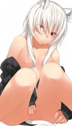 Rule 34 | 1girl, animal ears, bottomless, breasts, covering privates, covering crotch, kochiya (gothope), long hair, nipples, off shoulder, open clothes, original, red eyes, sitting, small breasts, solo, tail, white hair