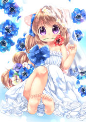 Rule 34 | 1girl, animal ears, bad id, bad pixiv id, bare shoulders, barefoot, bouquet, brown hair, child, dress, feet, flower, full body, hair ribbon, long hair, mouth hold, mutou mato, original, purple eyes, ribbon, see-through, sitting, smile, soles, solo, toes, veil