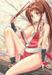 Rule 34 | 1girl, breasts, fatal fury, large breasts, ponytail, revealing clothes, shiranui mai, sitting, solo