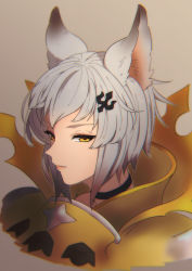 Rule 34 | 1girl, animal ears, armor, brown background, choker, closed mouth, cropped shoulders, golden knight (granblue fantasy), granblue fantasy, grey hair, hair ornament, hairclip, lips, looking at viewer, mifuta, short hair, smile, solo, yellow eyes