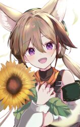 Rule 34 | 1girl, animal ear fluff, animal ears, arknights, bare shoulders, blurry, blurry foreground, blush, brown hair, cardigan (arknights), cardigan (sunny day) (arknights), commentary, deyuaru, dog ears, dog girl, flower, green hat, hat, highres, holding, holding flower, jacket, looking at viewer, multicolored hair, open mouth, purple eyes, scarf, smile, solo, streaked hair, sunflower, suspenders, twintails, white jacket, yellow scarf