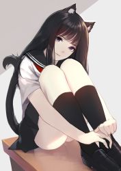 Rule 34 | 1girl, animal ears, black footwear, black hair, black skirt, black socks, caidychen, cat ears, closed mouth, commentary, foot out of frame, head tilt, highres, kneehighs, knees to chest, knees up, legs together, light smile, loafers, long hair, looking at viewer, neckerchief, original, own hands together, panties, pantyshot, pantyshot through reflection, pleated skirt, purple eyes, red neckerchief, reflection, school uniform, serafuku, shirt, shoes, short sleeves, sitting, skirt, socks, solo, straight hair, table, tail, underwear, white shirt