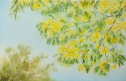 Rule 34 | blurry, blurry background, branch, flower, highres, mimosa (flower), no humans, original, painting (medium), realistic, still life, traditional media, tree, watercolor (medium), yamaji nao, yellow flower