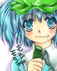 Rule 34 | 1girl, blue hair, cucumber, female focus, hat, kawashiro nitori, plant, solo, touhou, two side up, upper body, white background
