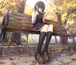 Rule 34 | 1girl, autumn, autumn leaves, bench, black dress, black hair, black socks, blouse, blue eyes, blush, book, brown footwear, collared shirt, dress, dress shirt, full body, hair ornament, hairclip, highres, holding, holding book, kneehighs, legs together, loafers, long sleeves, looking at viewer, missile228, on bench, original, park bench, peeking, pinafore dress, reading, shirt, shoes, short dress, short hair, sitting, sleeveless dress, socks, solo, white shirt