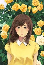 Rule 34 | 1girl, closed mouth, collared shirt, commentary request, flower, green eyes, leaf, looking at viewer, munakata (hisahige), peter pan collar, rose, shirt, short sleeves, solo, yellow flower, yellow rose, yellow shirt