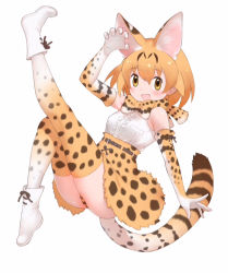 Rule 34 | 10s, 1girl, animal ears, boots, bow, bowtie, cat ears, cat tail, elbow gloves, full body, gloves, kemono friends, looking at viewer, official art, open mouth, orange hair, panties, pantyshot, serval, serval (kemono friends), serval print, serval tail, short hair, simple background, skirt, solo, striped clothes, striped panties, tail, thighhighs, underwear, white background, yellow eyes, yoshizaki mine