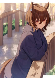 Rule 34 | 1girl, absurdres, against railing, agnes tachyon (umamusume), ahoge, animal ears, autumn, brown eyes, bush, closed mouth, crossed arms, day, ear ornament, hair between eyes, highres, horse ears, horse girl, horse tail, isana615, long sleeves, looking at viewer, looking to the side, outdoors, railing, short hair, smile, solo, sweater, tail, tree, umamusume, upper body, wooden railing