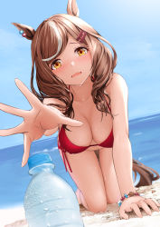 Rule 34 | 1girl, absurdres, all fours, animal ears, arm support, bikini, blush, bottle, bracelet, breasts, brown eyes, brown hair, cleavage, day, fang, foreshortening, gibun (sozoshu), hair ornament, hairclip, halterneck, highres, horse ears, horse girl, horse tail, jewelry, long hair, matikane tannhauser (umamusume), medium breasts, multicolored hair, outdoors, outstretched arm, red bikini, resolution mismatch, skin fang, solo, source smaller, streaked hair, string bikini, swimsuit, tail, umamusume, water bottle, white hair