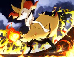 Rule 34 | braixen, closed mouth, commentary, creatures (company), fiery background, fire, from side, game freak, gen 6 pokemon, highres, holding, holding stick, kou11021301, looking ahead, night, night sky, nintendo, no humans, on ground, pokemon, pokemon (creature), red eyes, sky, smoke, solo, standing, stick, symbol-only commentary