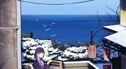 Rule 34 | 1girl, bad id, bad twitter id, bare tree, bird, black hair, blue eyes, blue sky, blush, building, day, dove, fuyuno kamome, hands up, japanese clothes, kimono, looking at viewer, ocean, original, ouchikaeru, outdoors, sign, sky, snow, solo, tree, utility pole