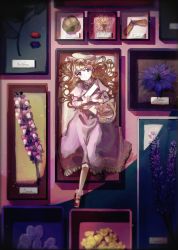 Rule 34 | 1girl, :|, absurdres, blonde hair, blue eyes, blush, bow, bowtie, closed mouth, commentary, dandelion, dress, flower, food, framed, frilled dress, frills, fruit, full body, hat, highres, holding, lavender (flower), linaria (flower), long hair, long sleeves, looking at viewer, maribel hearn, mary janes, minus (sr mineka), mob cap, mulberry, own hands together, paper, plant, purple bow, purple bowtie, purple dress, purple flower, red footwear, seed, shoes, sleeve cuffs, solo, touhou, waist bow, wavy hair, white hat, yellow bow, yellow flower