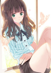 Rule 34 | 1girl, amamiya chiharu, black ribbon, black shorts, blue shirt, blush, breasts, brown hair, bug, butterfly, buttons, collared shirt, commentary request, curtains, dress shirt, ears visible through hair, green eyes, insect, long hair, long sleeves, looking at viewer, neck ribbon, original, parted lips, ribbon, shirt, short shorts, shorts, simple background, sitting, small breasts, solo, striped clothes, striped shirt, transparent, vertical-striped clothes, vertical-striped shirt, window