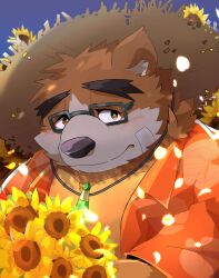 Rule 34 | 1boy, absurdres, animal ears, bandaid, bandaid on face, bara, bear boy, bear ears, blush, brown eyes, brown fur, closed mouth, collared shirt, commentary request, flower, furry, furry male, glasses, hat, highres, inoshika (boar stag144), jewelry, looking to the side, male focus, necklace, orange shirt, shade, shirt, short hair, solo, straw hat, sunflower, thick eyebrows, tokyo houkago summoners, upper body, volos (housamo), white fur