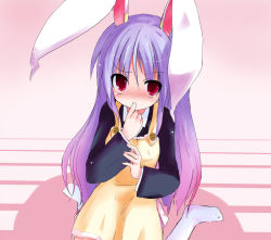 Rule 34 | 1girl, animal ears, apron, blush, female focus, finger in own mouth, long hair, purple hair, rabbit ears, red eyes, reisen udongein inaba, shichinose, solo, touhou, very long hair