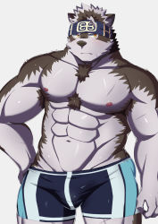 Rule 34 | 1boy, abs, ainu clothes, alternate costume, animal ears, bara, blue male swimwear, bulge, chest hair, cowboy shot, furry, furry male, grey fur, grey hair, groin, hand on own hip, headband, highres, horkeu kamui, kawara gawara, large pectorals, looking to the side, male focus, male swimwear, multicolored hair, muscular, muscular male, navel, nipples, pectorals, scar, scar on chest, scar on leg, short hair, skindentation, solo, standing, stomach, swim briefs, swimsuit, tail, thick thighs, thighs, tokyo houkago summoners, topless male, two-tone fur, two-tone hair, wolf boy, wolf ears, wolf tail, yellow eyes