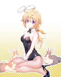 Rule 34 | 1girl, animal ears, bad id, bad pixiv id, between legs, black footwear, black leotard, black ribbon, blonde hair, breasts, charlotte dunois, choker, cleavage, collarbone, covered navel, detached collar, fake animal ears, fishnet pantyhose, fishnets, gradient background, hair between eyes, hand between legs, high heels, highres, infinite stratos, leotard, long hair, medium breasts, neck ribbon, pantyhose, playboy bunny, ponytail, popupi, pumps, purple eyes, rabbit, rabbit ears, ribbon, shiny clothes, sitting, smile, solo, strapless, strapless leotard, striped, striped background, wariza, wrist cuffs