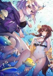 Rule 34 | 2girls, adapted costume, animal ears, breasts, brown eyes, brown hair, cat ears, cat girl, covered navel, dog ears, dog girl, fish, highres, hololive, inugami korone, looking at viewer, looking up, medium breasts, medium hair, multiple girls, nekomata okayu, nekomata okayu (1st costume), one-piece swimsuit, open mouth, paw pose, purple eyes, purple hair, ryuuji teitoku, short hair, swimsuit, underwater, virtual youtuber