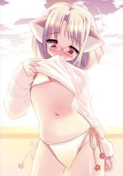 Rule 34 | 1girl, animal ears, artist request, bikini, blush, cat ears, character request, copyright request, dress shirt, flat chest, glasses, red eyes, shirt, side-tie bikini bottom, solo, source request, swimsuit, undressing, white hair