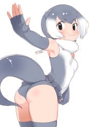 Rule 34 | 1girl, :3, animal ears, ass, black eyes, breasts, elbow gloves, extra ears, fingerless gloves, gloves, gradient hair, grey gloves, grey hair, grey thighhighs, highres, kemono friends, looking at viewer, masuyama ryou, multicolored hair, one-piece swimsuit, otter ears, otter tail, short hair, simple background, small-clawed otter (kemono friends), small breasts, smile, solo, swimsuit, tail, thighhighs, white background, white hair