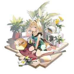 Rule 34 | 1girl, animal ears, arknights, blonde hair, blush, dog, dress, flower, green dress, green eyes, hair between eyes, highres, long hair, looking at viewer, official alternate costume, official art, one eye closed, parted lips, plant, podenco (arknights), podenco (wake up from a nap) (arknights), potted plant, shoes, short dress, sitting, solo, staff, sutorora, tail, transparent background, wariza, white footwear, yellow flower