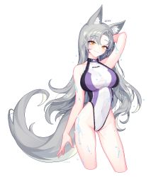 Rule 34 | 1girl, 9o9bbb, animal ear fluff, animal ears, arm up, breasts, closed mouth, commission, competition swimsuit, contrapposto, covered navel, cropped legs, eun soyeon (lustyfox), gluteal fold, grey hair, head tilt, highleg, highleg swimsuit, large breasts, looking at viewer, one-piece swimsuit, original, parted bangs, pixel art, second-party source, simple background, smile, solo, swimsuit, tail, wet, white background