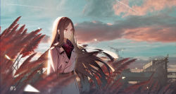 Rule 34 | 1girl, absurdres, belt, blue sky, brown hair, closed mouth, cloud, coat, day, expressionless, highres, kexue, long hair, looking away, original, outdoors, red eyes, scenery, sky, solo, very long hair, white coat