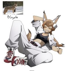 Rule 34 | 1girl, animal, animal ear fluff, arm behind head, arm up, baggy pants, bandaid, bandaid on head, belt, black belt, black eyes, brown hair, collared jacket, colored sclera, coyote, wolf ears, wolf tail, cross-laced footwear, dark-skinned female, dark skin, fang, full body, gomulgong, grimace, highres, jacket, knee up, long hair, midriff, open clothes, original, pants, personification, photo inset, ponytail, red belt, simple background, sleeves rolled up, solo, sports bra, teardrop, white background, white footwear, white jacket, white pants, yellow sclera
