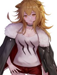 Rule 34 | 1girl, animal ears, arknights, black choker, black jacket, blonde hair, blush, breasts, choker, cleavage, commentary request, cowboy shot, cutoffs, fur-trimmed jacket, fur trim, hair between eyes, jacket, jacket on shoulders, large breasts, lion ears, long hair, looking at viewer, moth1, mouth hold, red shorts, short shorts, shorts, siege (arknights), simple background, solo, tank top, white background, white tank top, yellow eyes