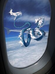 Rule 34 | aircraft, airplane, animal, blue skin, blue sky, cloud, cloudy sky, colored skin, day, dragon, eastern dragon, highres, llliridiumlll, no humans, original, sky, solo, striped skin, whiskers, white hair