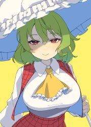 Rule 34 | 1girl, absurdres, ascot, blush, breasts, closed mouth, collared shirt, e sdss, green hair, hair between eyes, highres, holding, holding umbrella, kazami yuuka, large breasts, long sleeves, looking at viewer, open clothes, open vest, red eyes, red skirt, red vest, shirt, short hair, simple background, skirt, smile, solo, touhou, umbrella, upper body, vest, white shirt, yellow ascot, yellow background