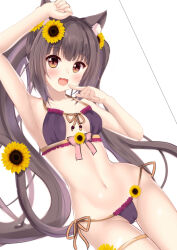 Rule 34 | 1girl, :3, :d, animal ear fluff, animal ears, arm up, armpits, bare arms, bikini, black bikini, blunt bangs, breasts, brown eyes, brown hair, cameltoe, cat ears, cat girl, cat tail, chocola (nekopara), collarbone, commentary, cowboy shot, finger to mouth, flower, front-tie bikini top, front-tie top, hair flower, hair ornament, light blush, long hair, looking at viewer, navel, nekopara, open mouth, side-tie bikini bottom, simple background, small breasts, smile, solo, stomach, sunflower, swimsuit, tail, thigh gap, thigh strap, twintails, very long hair, white background, yuzuki yuki (another yuki)