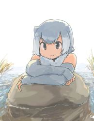 Rule 34 | 10s, :3, animal ears, bare shoulders, crossed arms, fingerless gloves, fur collar, gloves, in water, kemono friends, multicolored hair, otter ears, rock, rumenia (ao2is), small-clawed otter (kemono friends), solo, v-shaped eyebrows, water
