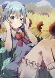 Rule 34 | 1girl, bloomers, blue bow, blue eyes, blue hair, bow, bowtie, cirno, closed mouth, field, flower, flower field, hair bow, highres, ice, ice wings, looking at viewer, natsume suzuri, outdoors, red bow, red bowtie, short hair, short sleeves, smile, solo, sunflower, sunflower field, touhou, underwear, wings
