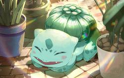 Rule 34 | blush, bulbasaur, commentary request, creatures (company), day, closed eyes, fangs, flower pot, game freak, gen 1 pokemon, highres, lying, nintendo, on stomach, open mouth, outdoors, plant, pokemon, shadow, smile, stone floor, torokko