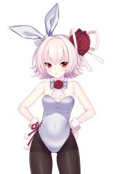 Rule 34 | 1girl, animal ears, bare shoulders, breasts, embarrassed, eve (soccer spirits), fake animal ears, flower, gluteal fold, hair flower, hair ornament, hands on own hips, highres, leotard, looking at viewer, official art, pantyhose, pink hair, playboy bunny, rabbit ears, red eyes, red flower, red rose, resized, ribbon, rose, shirahane nao, short hair, side-tie leotard, small breasts, soccer spirits, solo, transparent background, upscaled, white leotard, white ribbon