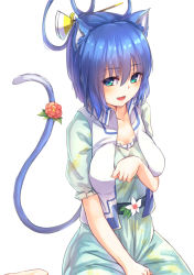 Rule 34 | 1girl, :d, animal ears, blue eyes, blue hair, borushichi, breasts, cat ears, cat tail, collarbone, dress, eyebrows, eyelashes, fang, flower, flower request, frills, from above, hair between eyes, hair ornament, hair rings, hair stick, highres, kaku seiga, kemonomimi mode, looking at viewer, lotus, matching hair/eyes, medium breasts, open mouth, red flower, sash, shawl, short sleeves, simple background, sitting, smile, solo, tail, tail flower, tail ornament, touhou, vest, white background, white flower