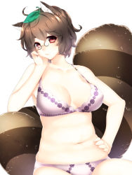 Rule 34 | 1girl, animal ears, bad id, bad pixiv id, belly, bra, breasts, brown hair, covered erect nipples, cowboy shot, curvy, eyebrows, futatsuiwa mamizou, glasses, hand on own face, hand on own hip, hand rest, head tilt, large breasts, leaf, leaf on head, lingerie, looking at viewer, navel, nipples, object on head, panties, pince-nez, plump, purple bra, purple panties, raccoon ears, raccoon tail, red eyes, short hair, simple background, solo, sparkle, stomach, tail, thick eyebrows, touhou, underwear, underwear only, white background, yutazou
