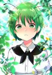 Rule 34 | 1girl, antennae, bad id, bad pixiv id, black cape, blurry, blurry foreground, blush, cape, closed mouth, collared shirt, commentary, crossed arms, dew drop, frown, green eyes, green hair, highres, katsuobushi (eba games), long sleeves, looking at viewer, plant, pout, shirt, short hair, solo, sparkle, tearing up, touhou, upper body, v-shaped eyebrows, water drop, white shirt, wriggle nightbug