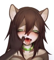Rule 34 | 1girl, 1other, animal ears, blush, borrowed character, brown hair, cat ears, collar, commission, drooling, fangs, finger in another&#039;s mouth, furry, green eyes, hair between eyes, long hair, mouth pull, original, portrait, ringed eyes, ro47, saliva, simple background, solo focus, teeth, tongue, tongue out, white background