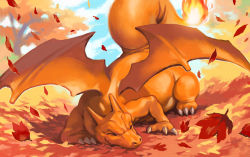Rule 34 | blue sky, charizard, closed mouth, creatures (company), day, closed eyes, flame-tipped tail, game freak, gen 1 pokemon, leaf, lying, making-of available, maple leaf, nintendo, nishimawari kouro, no humans, on stomach, orange theme, outdoors, pokemon, pokemon (creature), sky, smile, solo